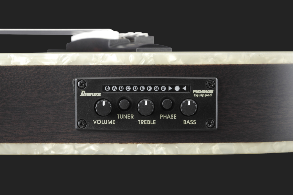 Ibanez Signature Tim Henson TOD10N, Sitka Fichte massiv/ Sapele, Pickup, Cutaway, Slimline